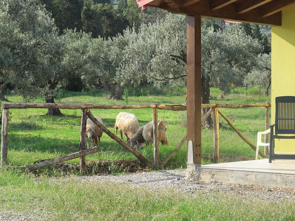 Holiday Home Stella Di Sicilia 阿奎多尔奇